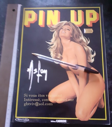 Pin aslan magnifique - pin-up,