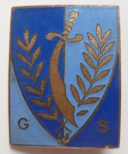 Insigne variante gms groupes - variante,