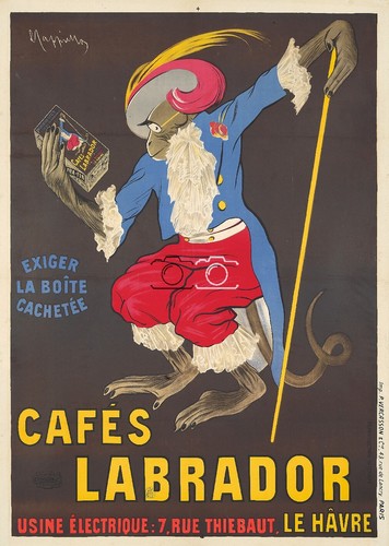 Pub café labrador - pub, rvdx-poster