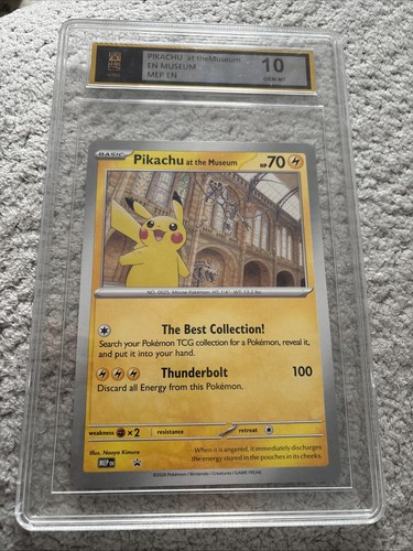 Pokémon pikachu the museum - pokémon,