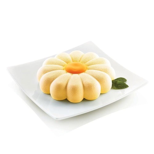 Moule gâteau silicone - gâteau, en