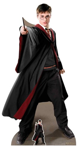 Harry potter quidditch - potter,