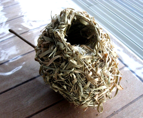 Lot nids naturel - nids, d'herbe