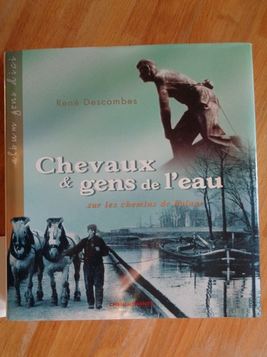 Chevaux gens eau - et, l'eau