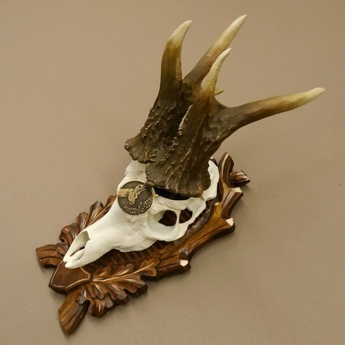 Copie bois cerf - copie, de