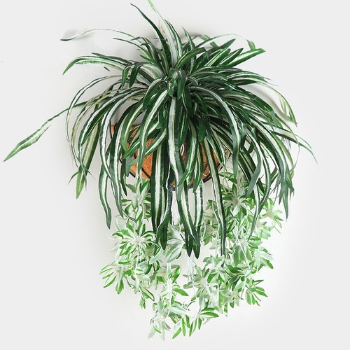 Plantes artificielles - plantes,