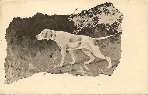 Carte postale fantaisie - carte,