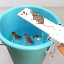 Piège à Rats & Souris en