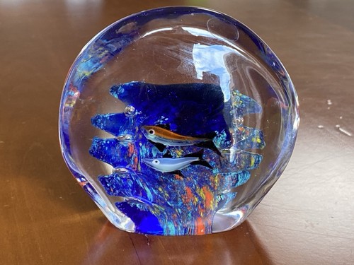 Superbe sulfure aquarium - superbe,