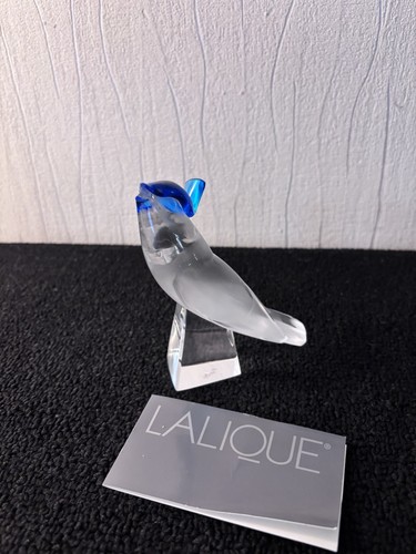 Oiseau geai bleu modèle - oiseau,