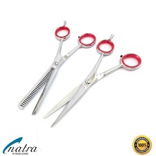 2x Ciseaux pour Cheveux de