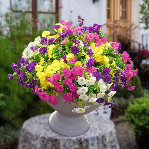 8pcs fleurs artificielles - 8pcs,