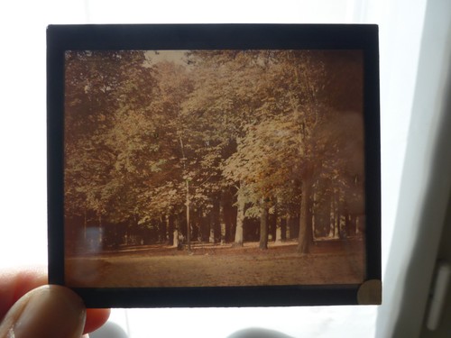 Autochrome 1890 foret - autochrome, a