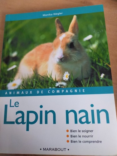 Lapin nain monika wegler - lapin,