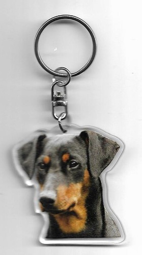 Pinscher chien porte cles - ,
