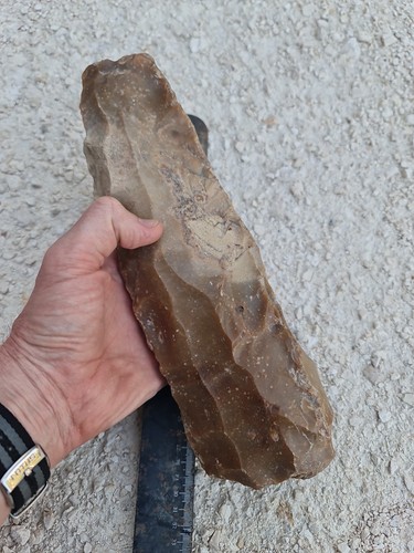 Nucleus silex livre de - 31,