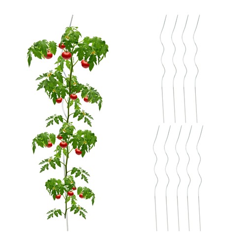 Tuteur tomate support - , de