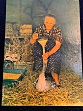 Carte postale - La gaveuse