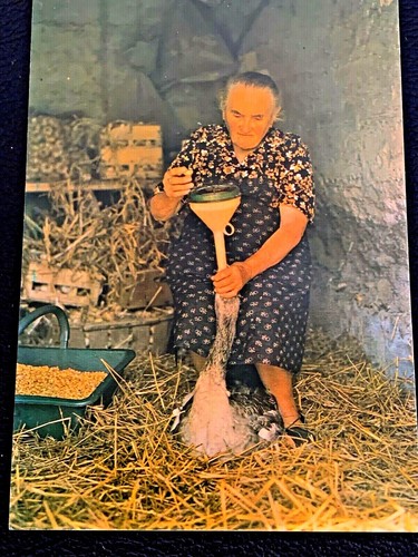 Carte postale la gaveuse - postale,