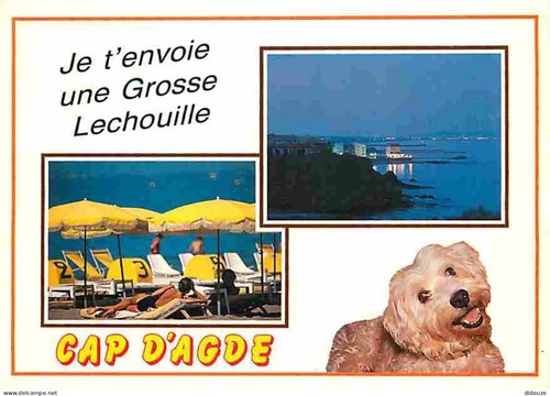 Carte postale animaux - -,