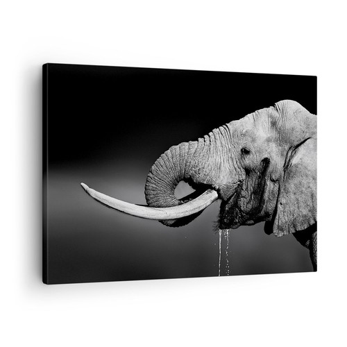 Impression sur toile 70x50cm - impression,