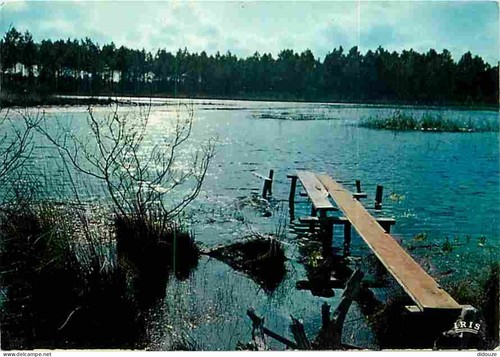 Carte postale landes - -,