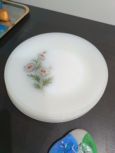 Lot assiettes plates - lot, 4