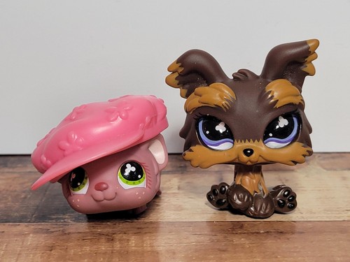 Lps 509 yorkie 510 - +, guinea