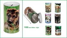 Tirelire Chiot Berger Allemand