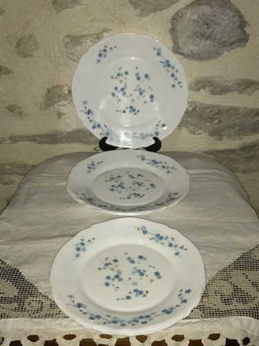 Lot assiettes plates - 6,