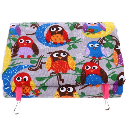 Perroquet lit chaud oiseau