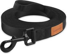 Laisse Chien, Longe pour