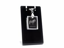 Poney Shetland