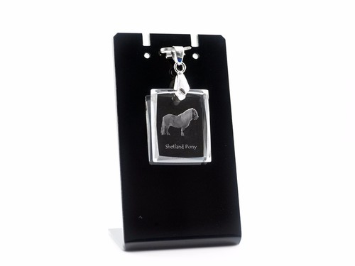 Poney shetland - poney,