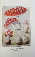 SARTORY. Les champignons