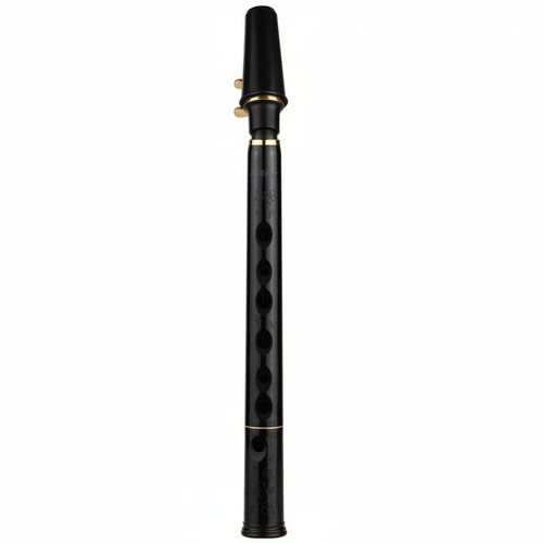Petit saxophone trous - saxophone,