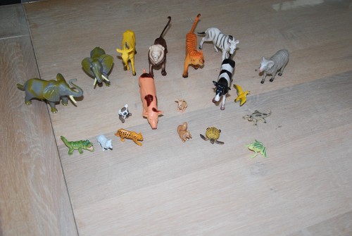 Lot animaux sauvage et - lot, 19