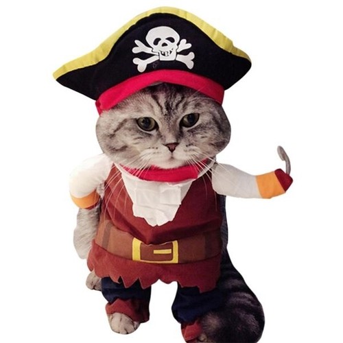 Costume pirate pour chat - pirate,
