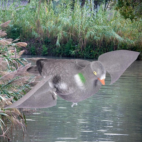 Pigeon artificiel modèle - , aile