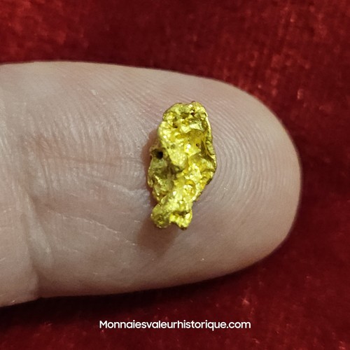 Pépite naturelle - d'or,