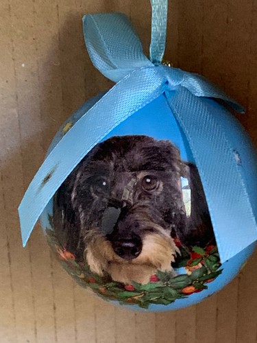 Boule noel chiens chats - chiens,