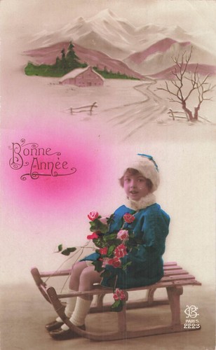 Rose bonne annee petite - bonne,