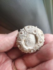 Oursin Dorocidaris Taouzensis