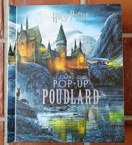 Grand livre pop de - le,