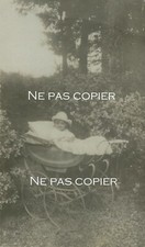 LANDAU baby in 1916
