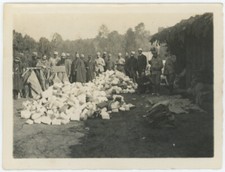 Champagne 1915. Mail received by soldiers. Military. WW1. War 14-18.