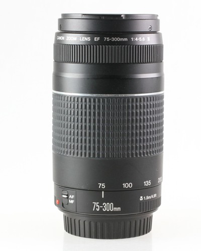 Objectif zoom canon 300 - ef, 75-300