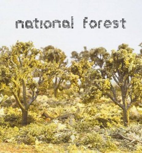 National forest same - forest,