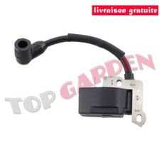 Bobine d'allumage pour