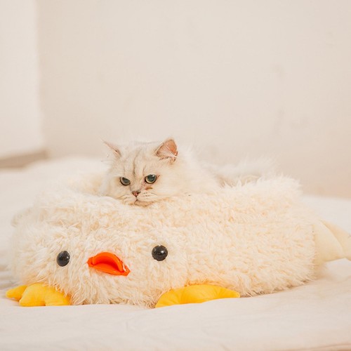 Lit pour animaux - , de